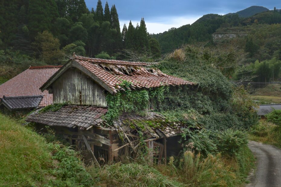 雑草が繁茂した空き家のイメージ写真