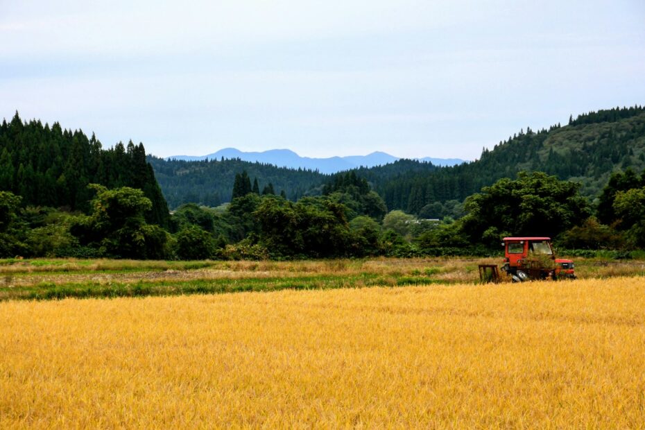 農地と山林の風景イメージ写真